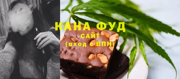 индика Волосово