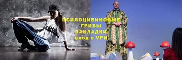 стаф Володарск