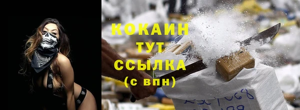 шишки Волоколамск