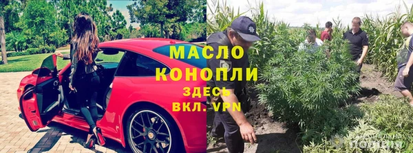 индика Волосово