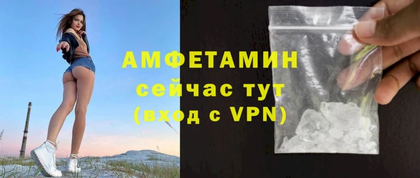 индика Волосово