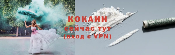 шишки Волоколамск