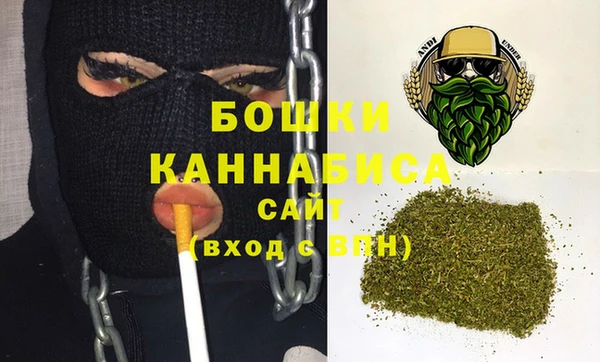 индика Волосово