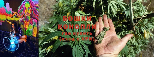 индика Волосово