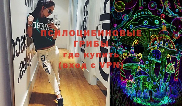 шишки Волоколамск