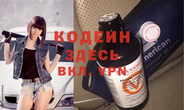 индика Волосово