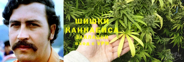 стаф Володарск