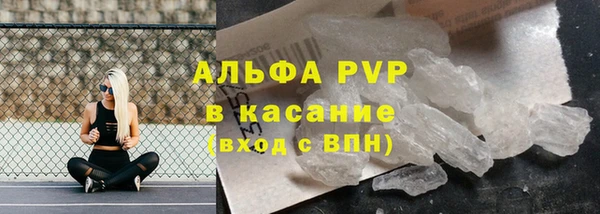 стаф Володарск