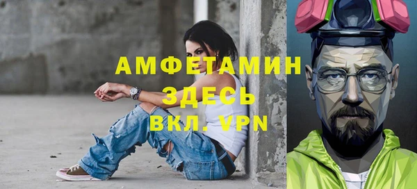индика Волосово