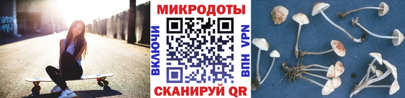 Псилоцибиновые грибы GOLDEN TEACHER Купить где Остров